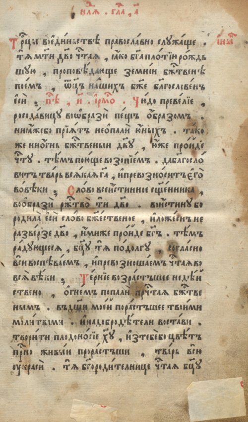 Страница 25
