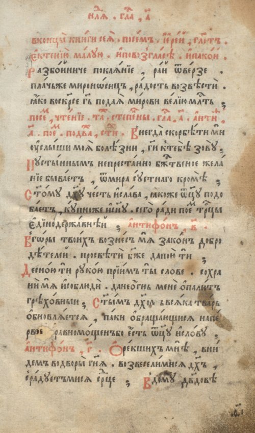 Страница 43