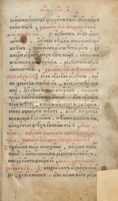 Страница 115