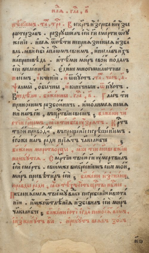 Страница 117