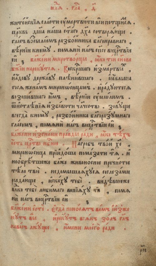 Страница 219