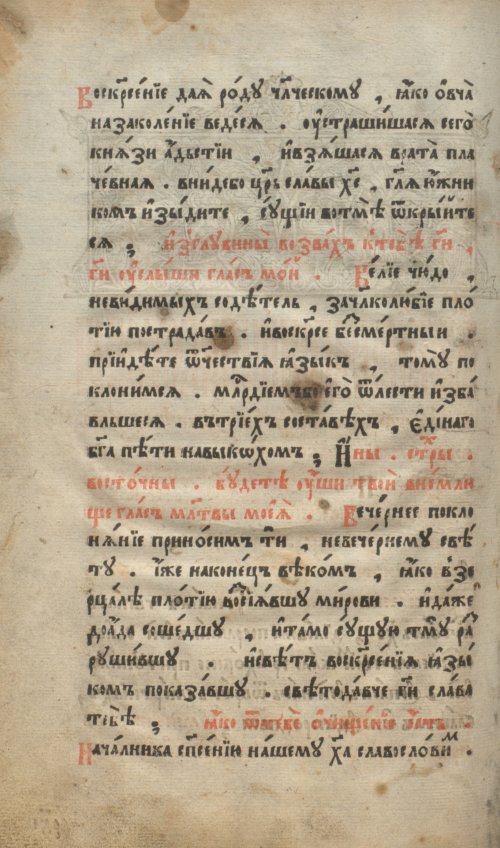 Страница 232