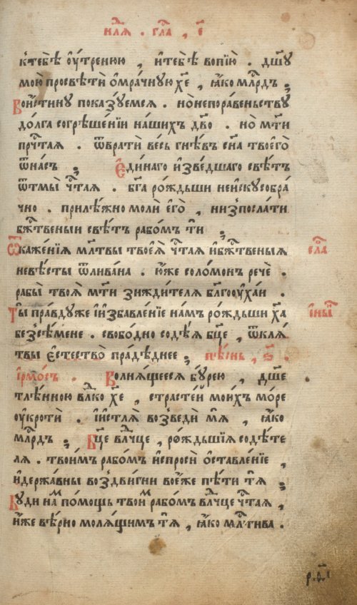 Страница 241