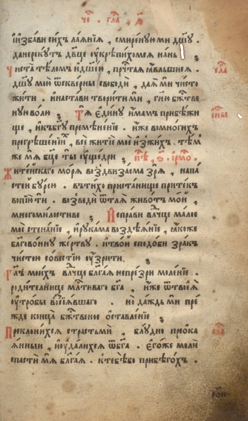 Страница 559
