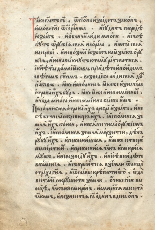 Страница 256
