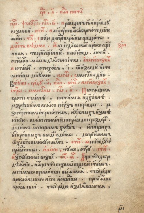 Страница 257