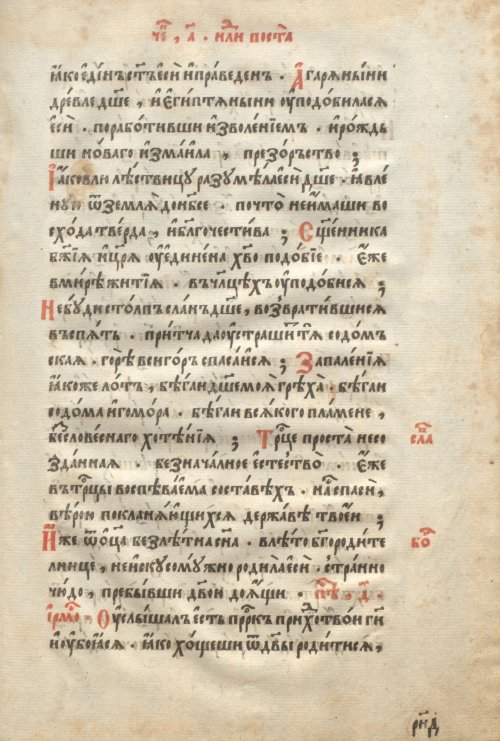 Страница 295