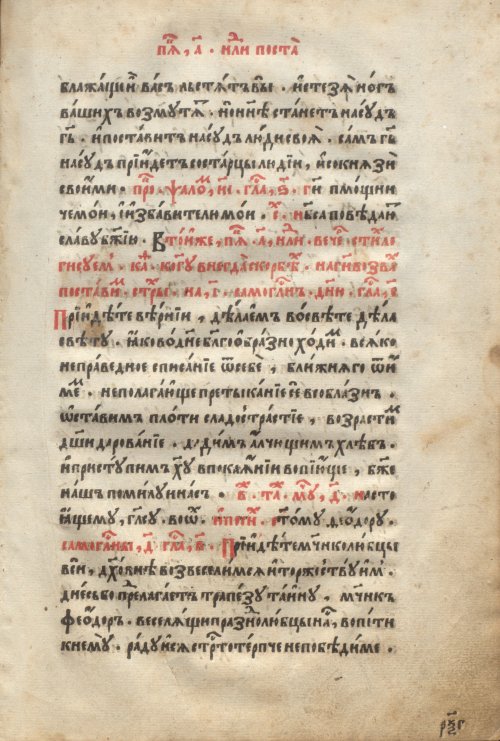 Страница 313