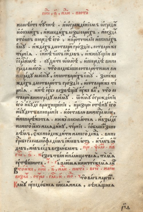 Страница 385