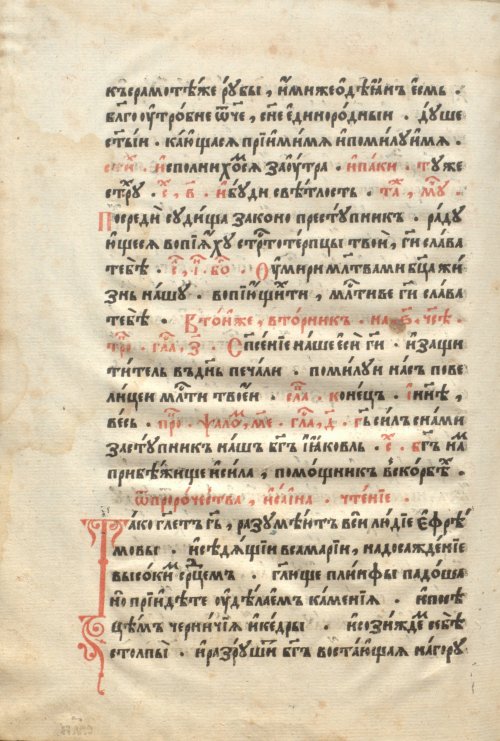 Страница 484