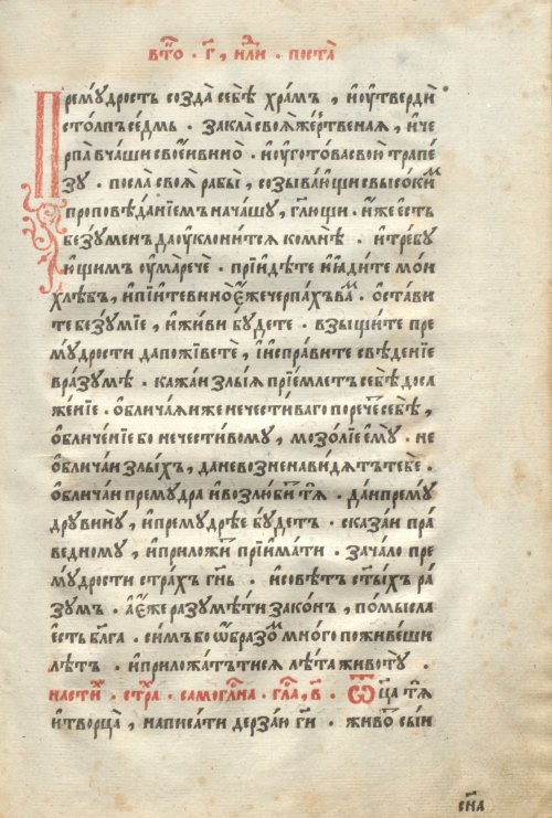 Страница 489