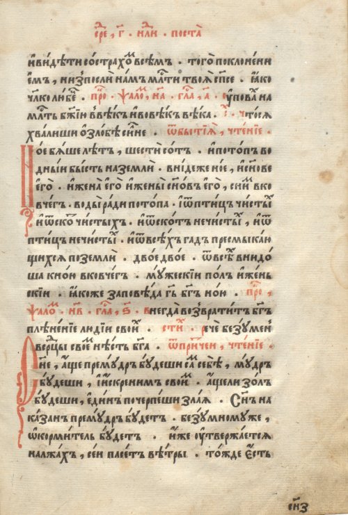 Страница 501