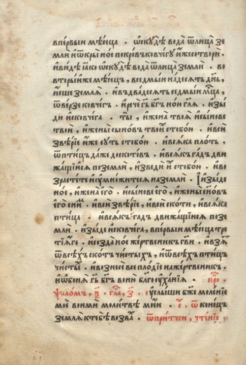Страница 528