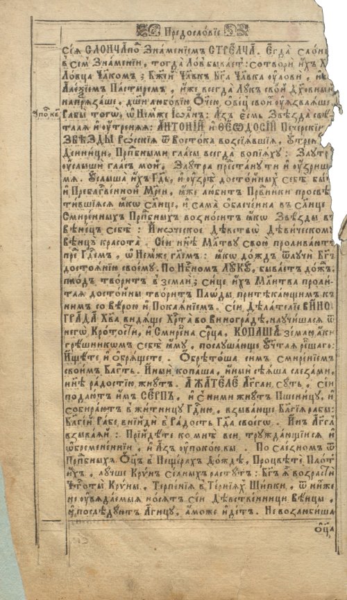 Страница 14