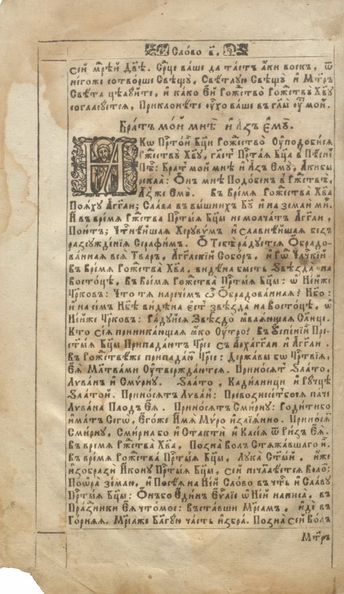 Страница 42