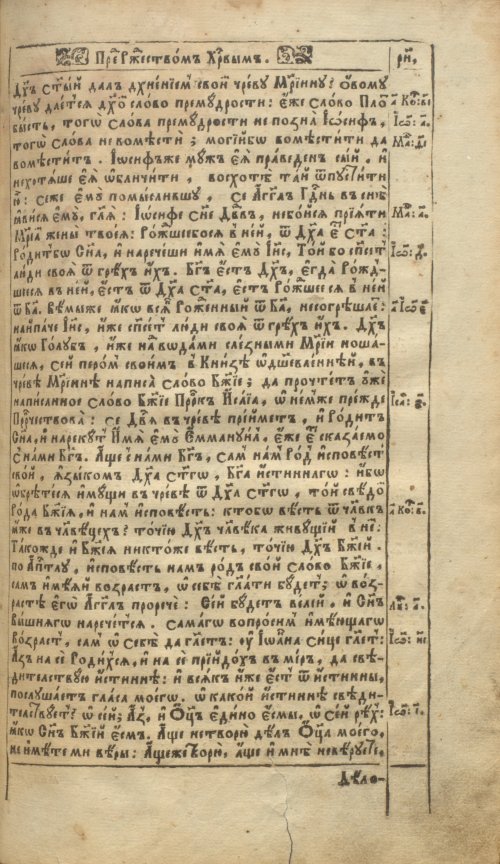 Страница 231