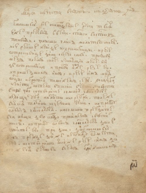 Страница 219