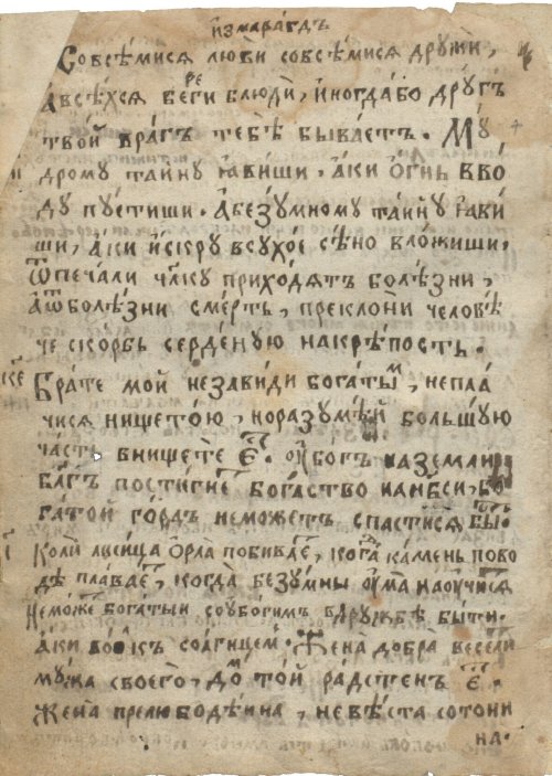 Страница 6
