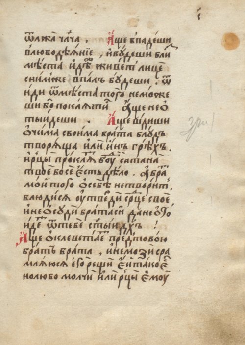 Страница 239