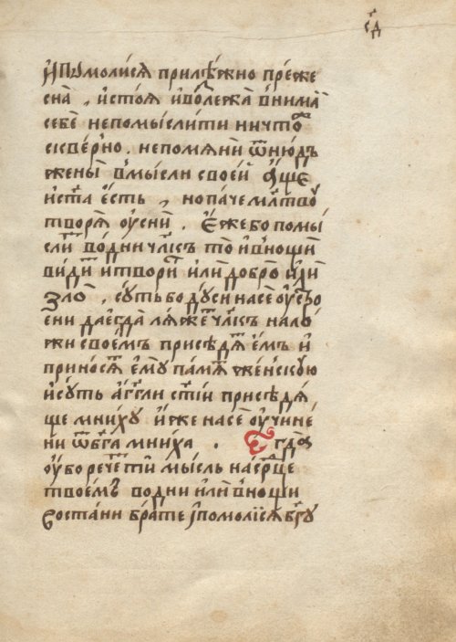Страница 243