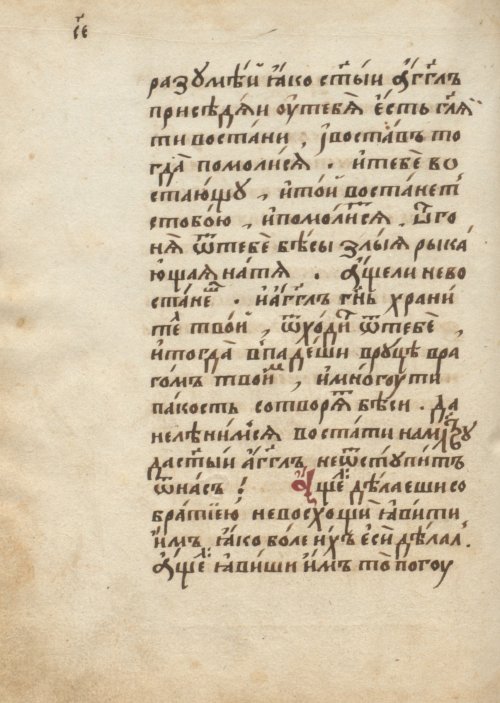 Страница 244