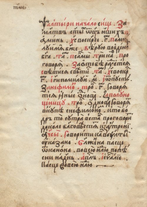 Страница 384