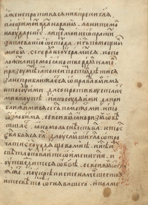 Страница 205