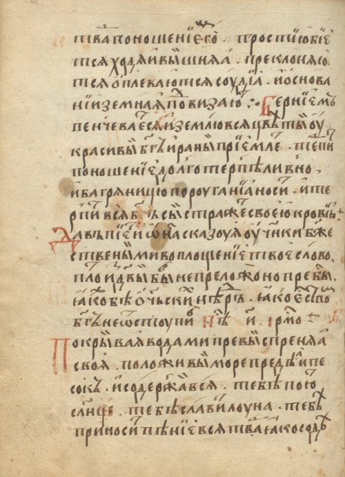 Страница 216