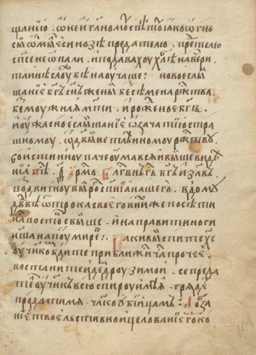 Страница 219