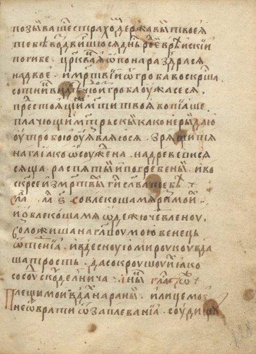 Страница 259