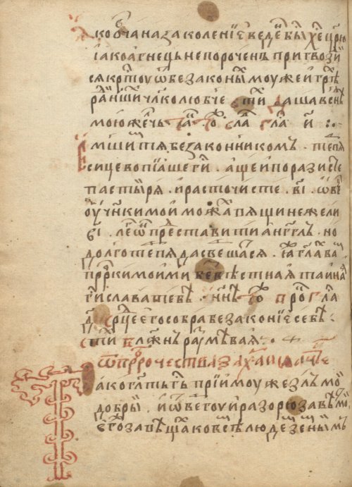 Страница 264