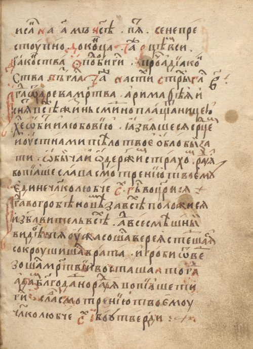 Страница 291