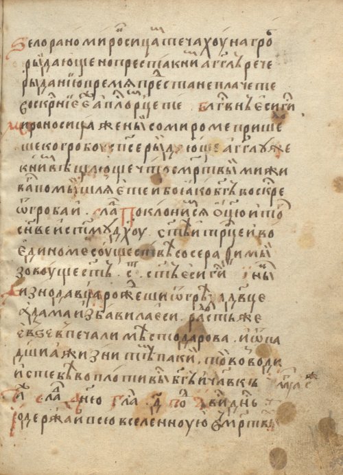 Страница 295