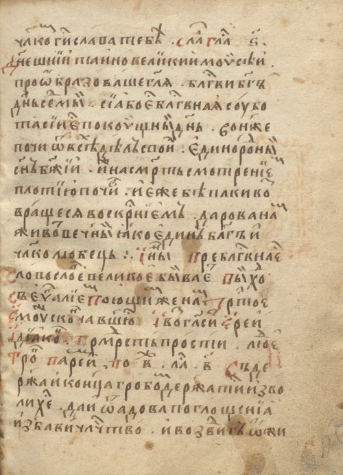 Страница 313