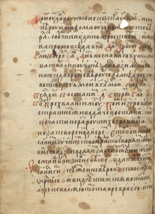 Страница 446
