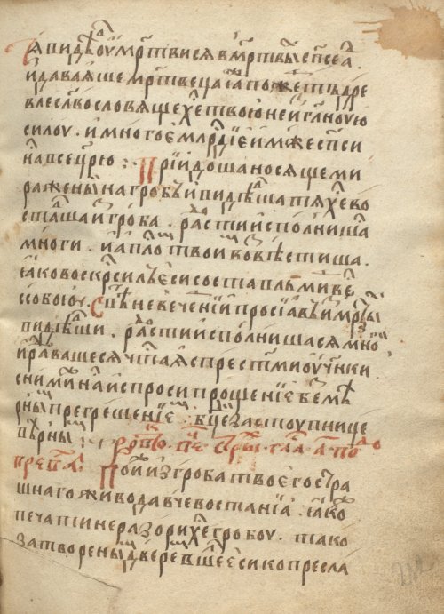 Страница 467