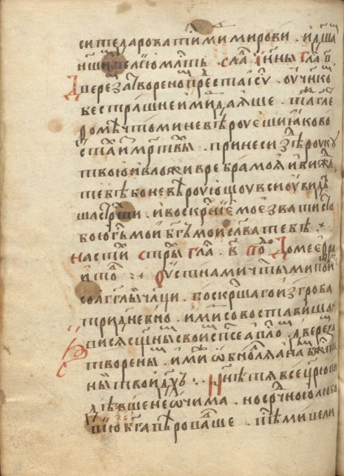 Страница 482