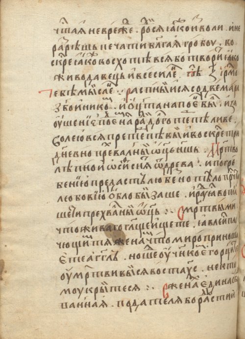 Страница 504