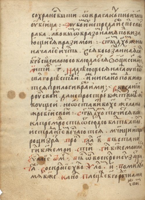 Страница 516