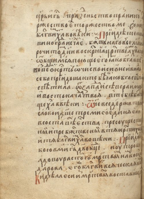 Страница 524