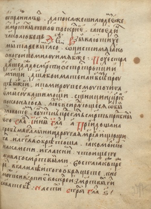 Страница 557
