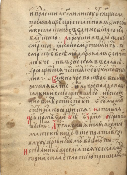 Страница 910