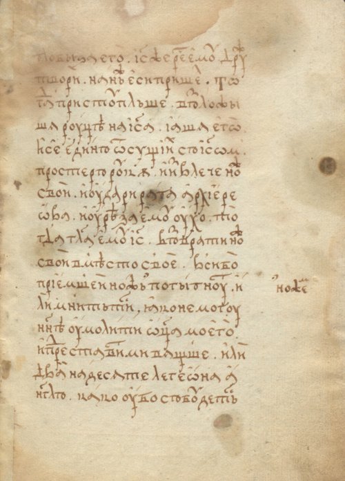 Страница 217