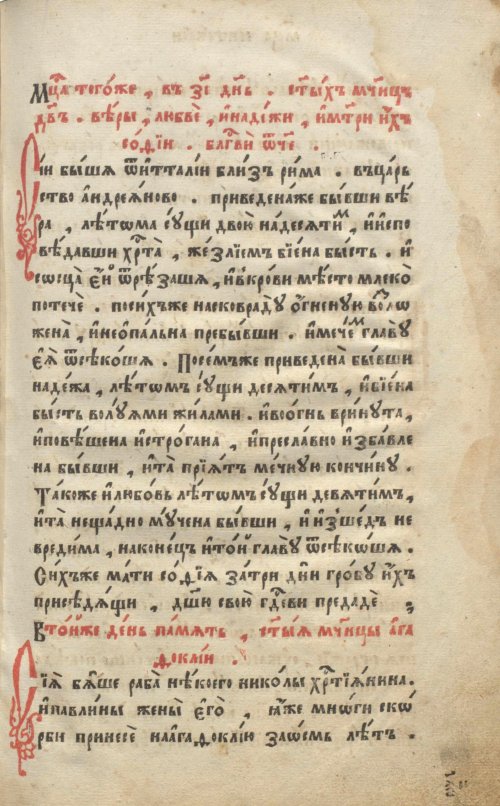 Страница 141