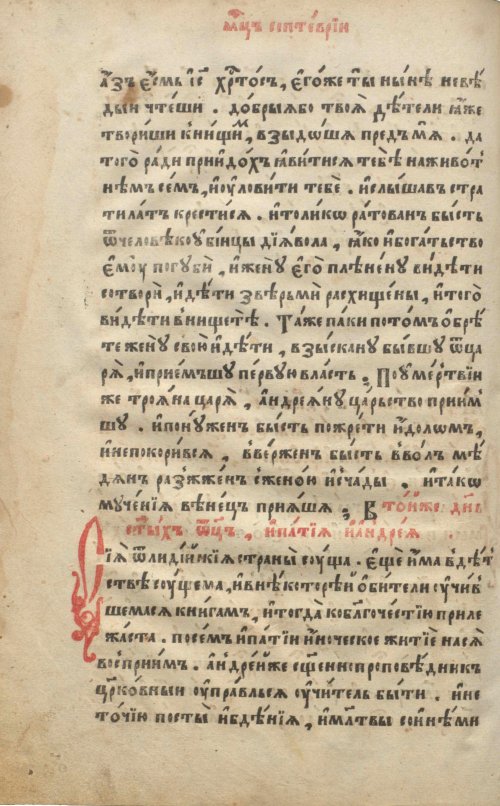 Страница 164