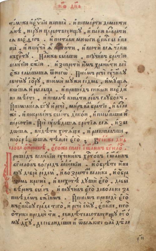 Страница 221