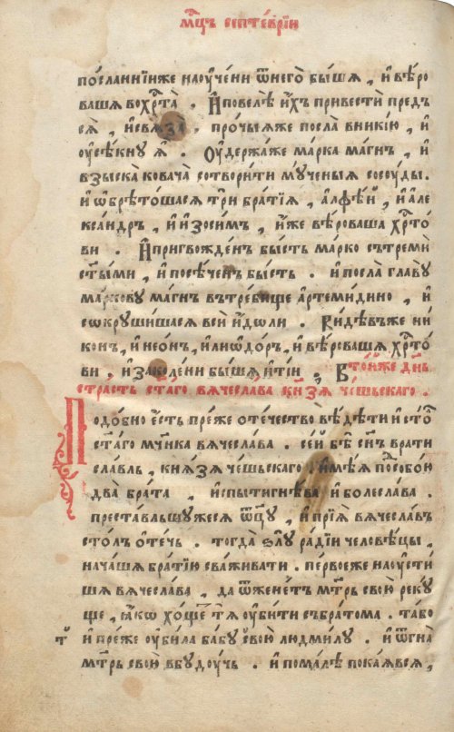 Страница 242