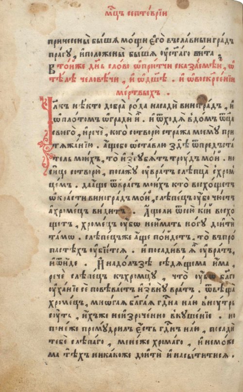 Страница 244