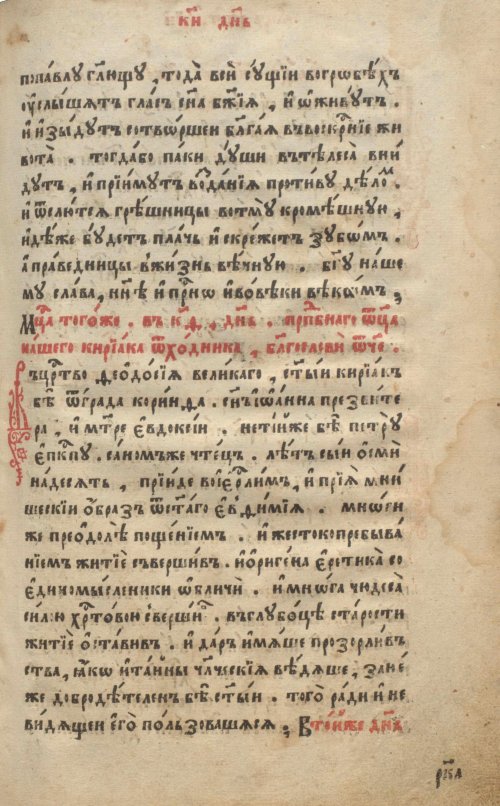 Страница 247