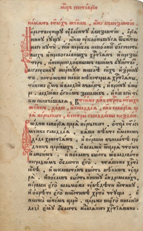 Страница 248